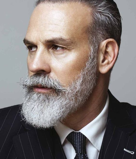 29 Stunning Beard Men Silver Fox Ideas for Timeless Style