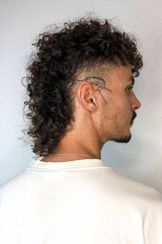 Dusk Shadow Layers Wolf Cut for Men