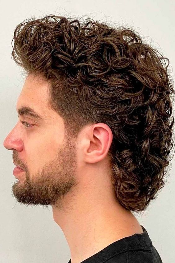 Natural Flow Cascade Wolf Cut for Men