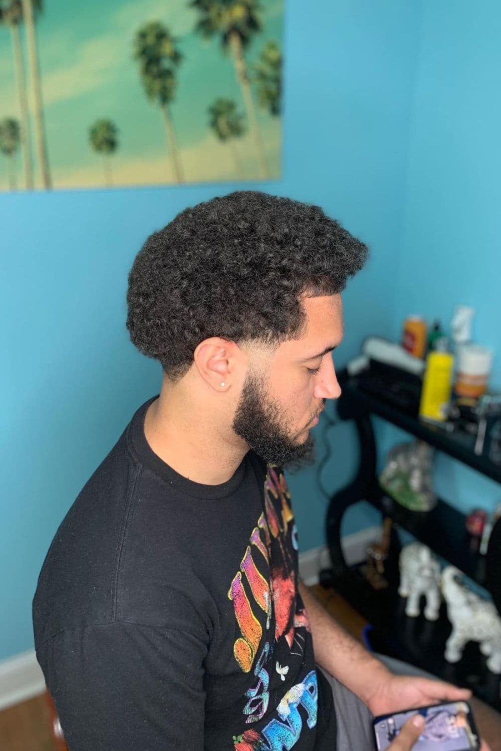 Afro with Low Taper Fade