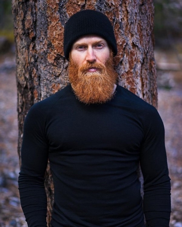 Viking Beard with Braided Accent