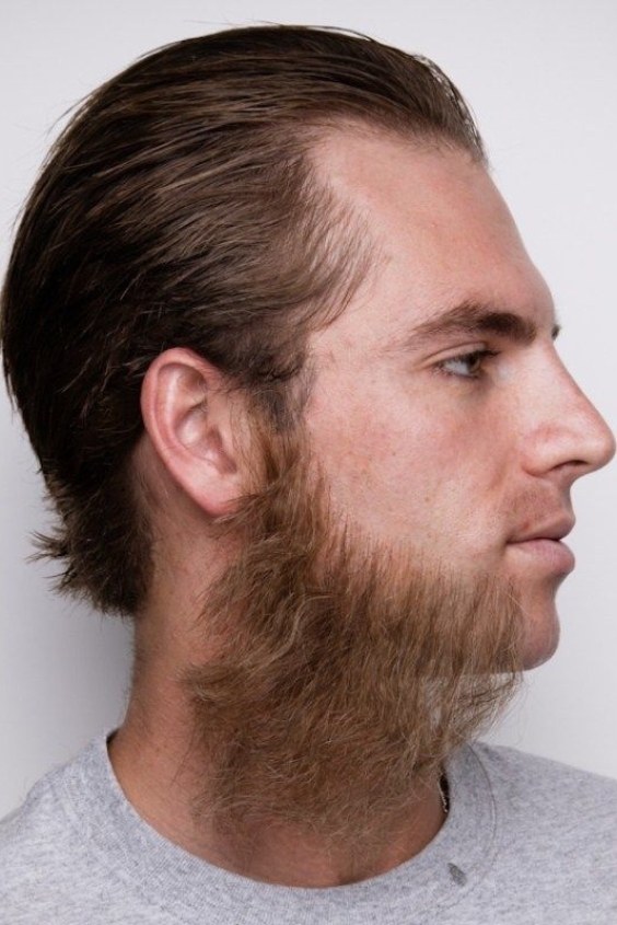 Full Bushy Beard with Faded Sideburns