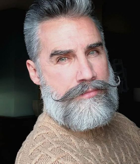 27 Stylish Grey Beards for Men to Try in 2024