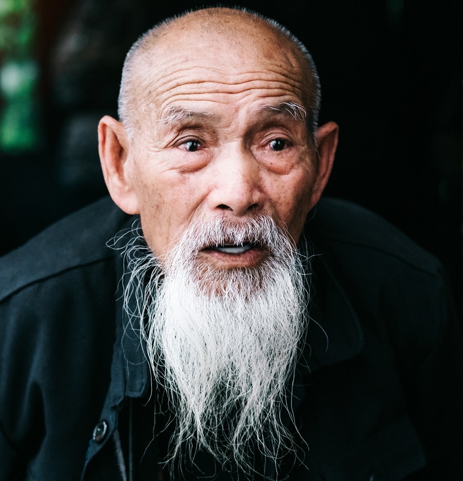 Elongated Goatee with Smooth Low Fade